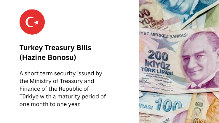 1-Month Turkey T-Bill